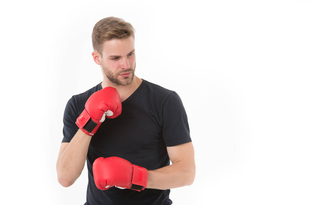 Confident boxer. Sportsman training with boxing gloves. Boxing concept. Man athlete concentrated face with sport gloves, ready to practice fighting skills, isolated white. Boxer handsome strict coach - Foto, afbeelding