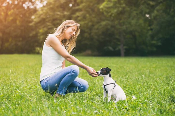 Beautiful woman enjoys feeding her cute dog Jack Russell Terrier in the nature.Image is intentionally toned. - Foto, Imagen