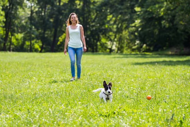 Woman and her dog Jack Russell Terrier playing  in the nature . - Fotoğraf, Görsel
