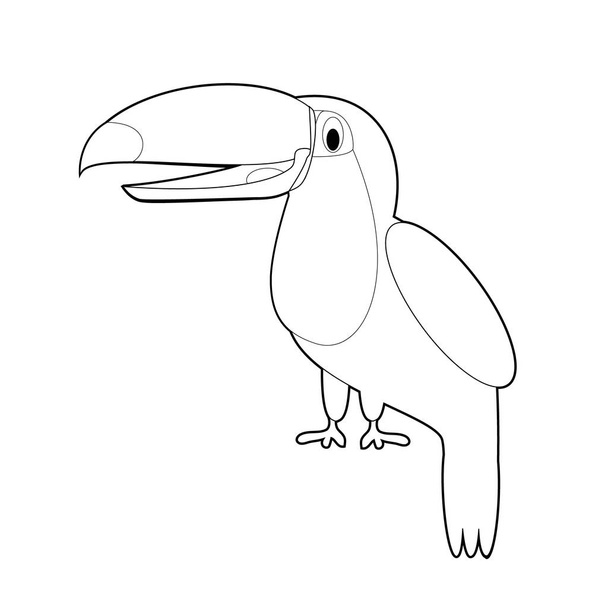 Простые раскраски рисунков животных для маленьких детей: Toucan
 - Вектор,изображение