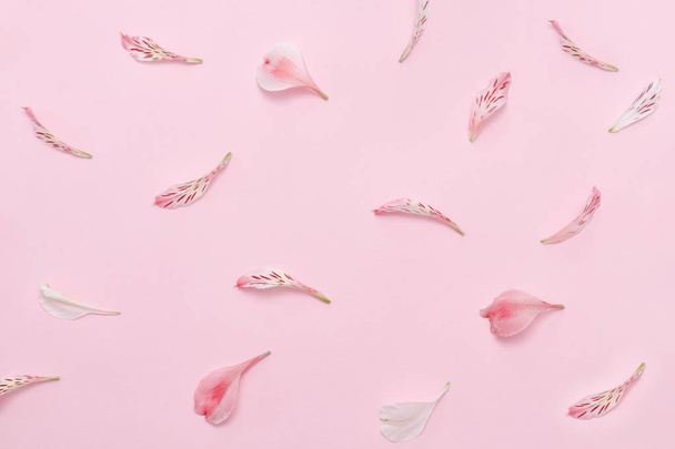 Flower petals on a pink background. Gentle spring background - Valokuva, kuva