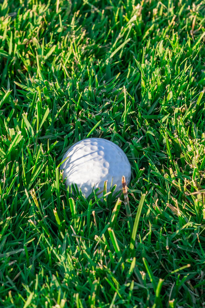 Pelota de golf sobre césped verde en campo de golf
 - Foto, imagen