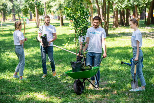 szczęśliwy wolontariuszy razem sadzenia drzew w parku - Zdjęcie, obraz