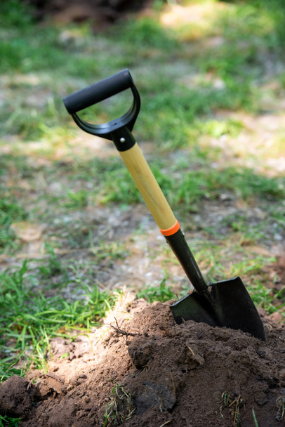 egy lapátot, a talajban történő elvetéssel park - Fotó, kép