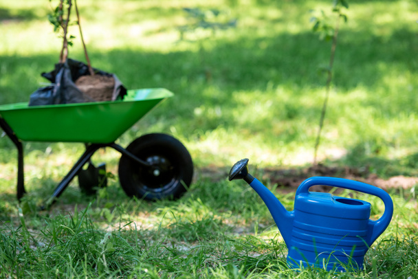 selective focus of watering can in park with new trees in wheelbarrow  - Photo, Image