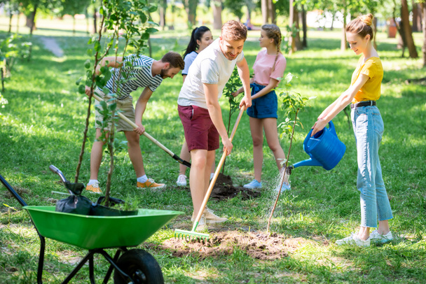 jóvenes amigos plantando nuevos árboles y voluntariado en el parque
 - Foto, Imagen
