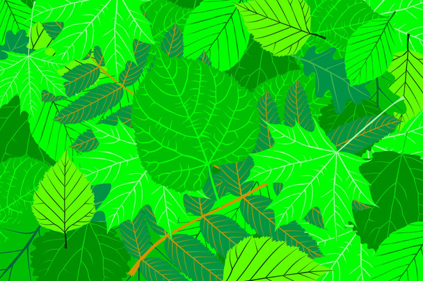 Las hojas de los árboles - fondo verde natural - vector
 - Vector, Imagen