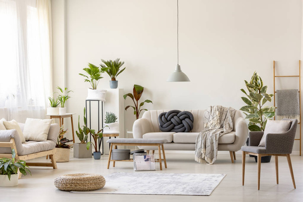Pouf on rug and plants in spacious living room interior with grey chair near beige couch. Real photo - Foto, Imagen