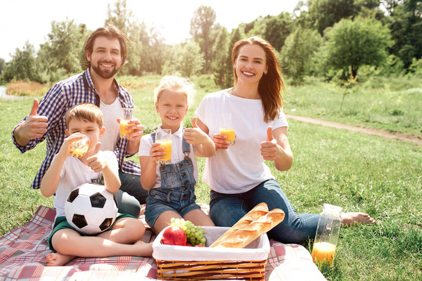 Joyful family is sitting on blanket and looking on camera. They are smiling. Each of them has a glass with orange juice. They are showing the like symbol. - Foto, Imagen
