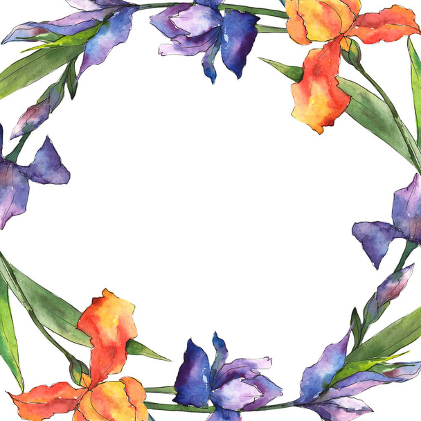 Colorful irises. Floral botanical flower. Frame border ornament square. Aquarelle wildflower for background, texture, wrapper pattern, frame or border. - Foto, Imagen