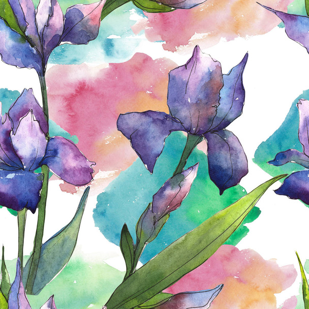 Colorful irises. Floral botanical flower. Seamless background pattern. Fabric wallpaper print texture. Aquarelle wildflower for background, texture, wrapper pattern, frame or border. - Photo, Image