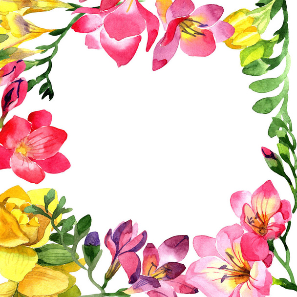 Colorful freesia. Floral botanical flower.Frame border ornament square. Aquarelle wildflower for background, texture, wrapper pattern, frame or border. - Фото, изображение