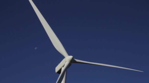 Windpark vor den Toren Ellensburgs, Washington an einem klaren Herbsttag - Filmmaterial, Video
