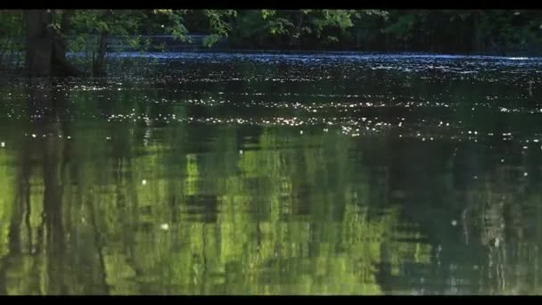 Nagy visszaverődéseknek fák a folyó vízben. Fák a folyó víz a folyó, napkelte vagy napnyugta pihe. 4k. - Felvétel, videó