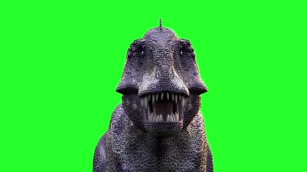 アニメーション実行中の恐竜ティラノサウルス レックス 3 d レンダラ ・緑の背景 - 映像、動画