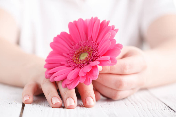 Vrouwelijke medische zorg concept, roze bloem gerbera in de hand - Foto, afbeelding