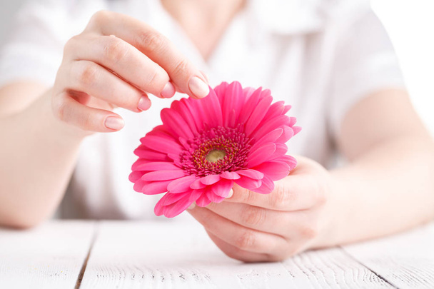 Női egészségügyi és a test ellátás fogalmát, rózsaszín gerbera kezében - Fotó, kép