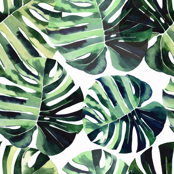 Bright green herbal tropical wonderful hawaii floral summer pattern of a tropic monstera palm leaves watercolor hand illustration. Perfect for textile, wallpapers, backgrounds - Foto, immagini
