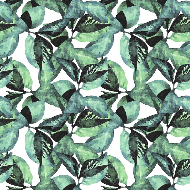 Naadloze aquarel bladeren patroon - Foto, afbeelding