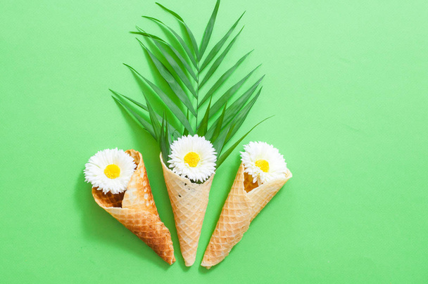 image of homemade cosmetics ingredients. aroma theme. face cream, green background, in a waffle cone, a daisy flower and green tropical leaves. Flat lay style, copy spase - 写真・画像