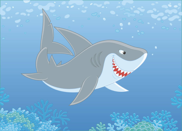 Grey reef shark swimming over a coral reef in blue water of a tropical sea, vector illustration in a cartoon style - Wektor, obraz