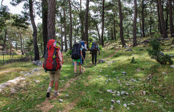 групи туристів з великими рюкзаками йде по лісі вздовж Лікійських стежка. Туреччина - Фото, зображення
