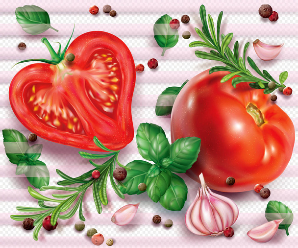 Composição com tomates e ervas aromáticas e especiarias em um fundo transparente. Ilustração vetorial
 - Vetor, Imagem