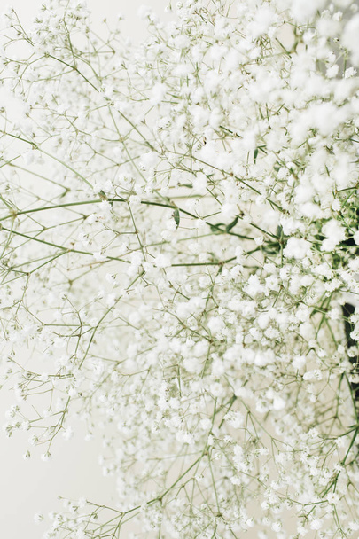 Ramo de flores de gypsophila blanco sobre fondo blanco. Concepto mínimo de vacaciones
. - Foto, Imagen