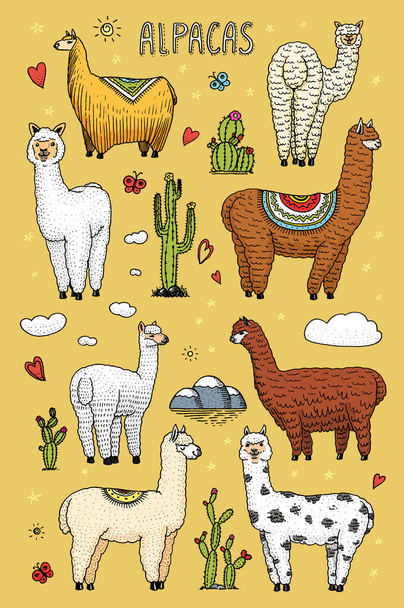 Set di simpatici lama di Alpaca o guanaco selvatico sullo sfondo di Cactus e montagna. Divertenti animali sorridenti in Perù per biglietti, manifesti, inviti, magliette. Elementi disegnati a mano. Schizzo inciso
. - Vettoriali, immagini