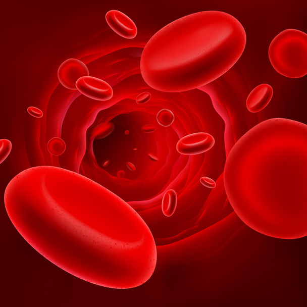 Czerwonych krwinek - Wektor, obraz