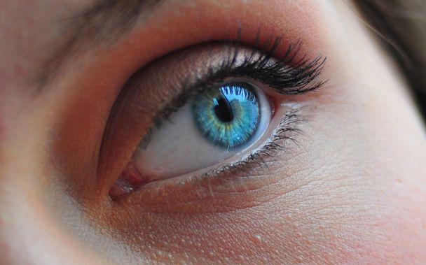 Womans blue eye - Photo, Image