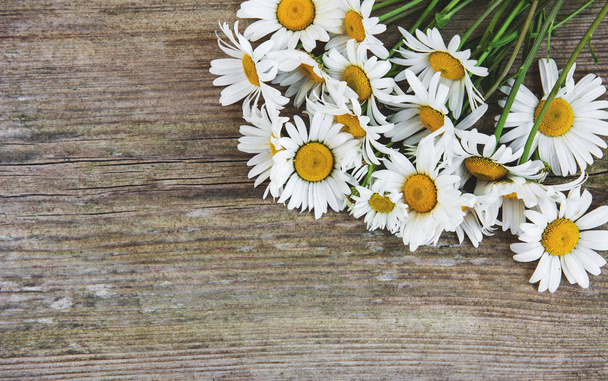 Chamomile flowers on a old wooden background - Foto, Bild