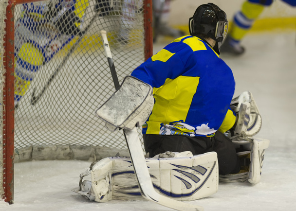 ice hockey Goalie - Photo, Image