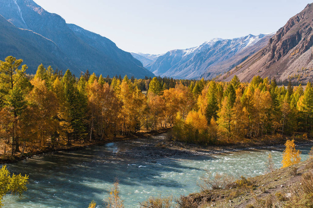 Katun rivier bij herfst in Altaj, Rusland. - Foto, afbeelding