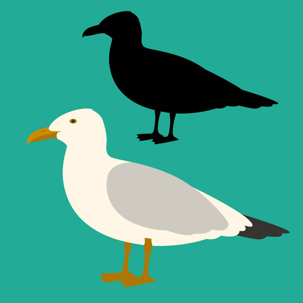 seagull  bird vector illustration flat style black silhouette - Vector, Image