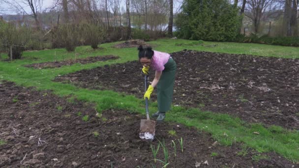 Ogrodnik kobieta kopanie z gleby pik - Materiał filmowy, wideo