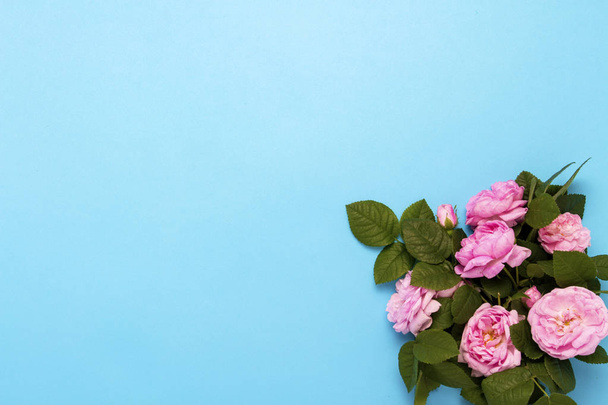 Pink roses on a blue background. Flat lay, top view. - Zdjęcie, obraz