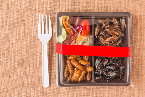 Сбор продуктов питания насекомых - Сверчок, червячные насекомые с овощным салатом в коричневых коробках с едой. Здоровое питание с высоким содержанием белка. Вид сверху
. - Фото, изображение