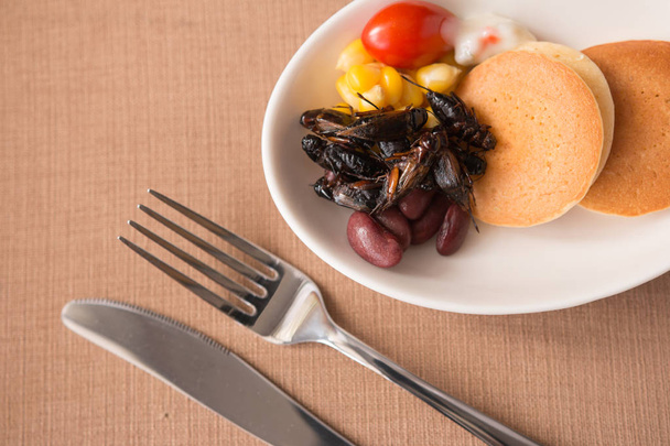 Böcek gözleme - kriket böcek, Mısır, kırmızı fasulye, domates ile beyaz bir kase kahvaltıda krep. Yakın çekim, seçici odak. - Fotoğraf, Görsel