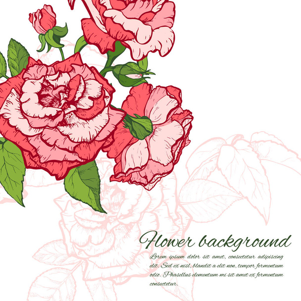 Rose hand drawn illustration - Διάνυσμα, εικόνα