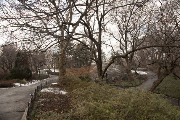 New York, ABD Merkez Parkı kış - Fotoğraf, Görsel
