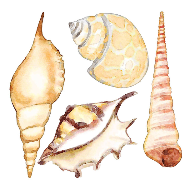 Watercolor Sea Shells Set - Foto, imagen