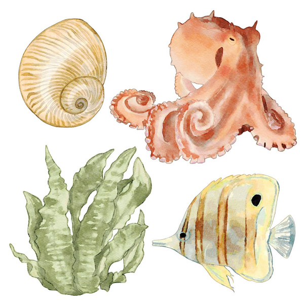 Sada akvarel moře ilustrace zvířat - Fotografie, Obrázek