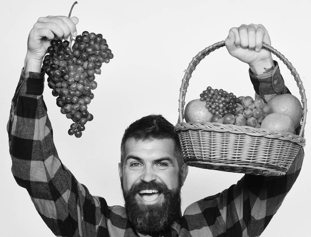 Farmer with happy face presents apples, cranberries and ripe grapes. Guy with harvest. Man with beard holds basket with fruit - Φωτογραφία, εικόνα
