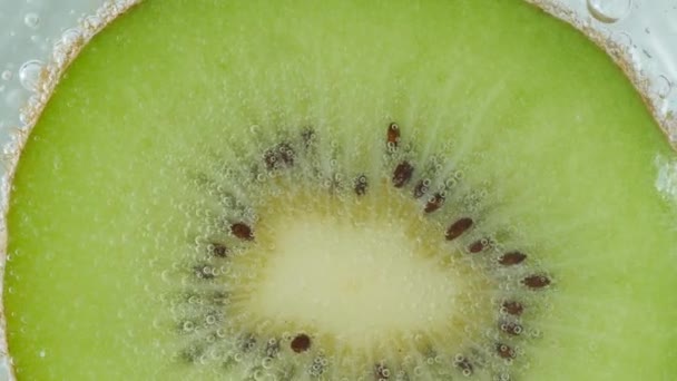 Macro voor kiwi fruit in water - Video