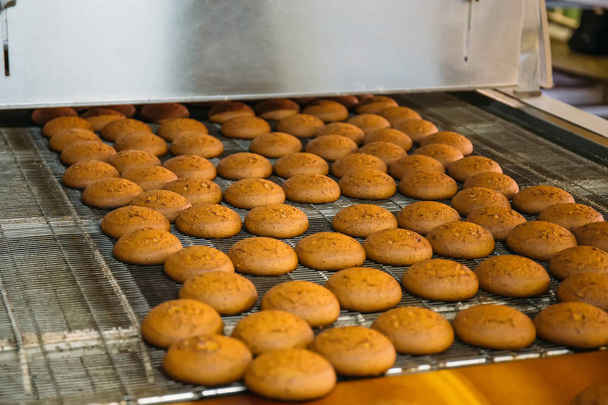 Linea automatica di produzione di prodotti da forno con biscotti dolci su macchine per nastri trasportatori nell'officina dolciaria
 - Foto, immagini