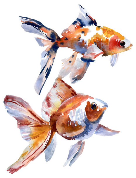 Watercolor illustration of goldfish - Photo, Image