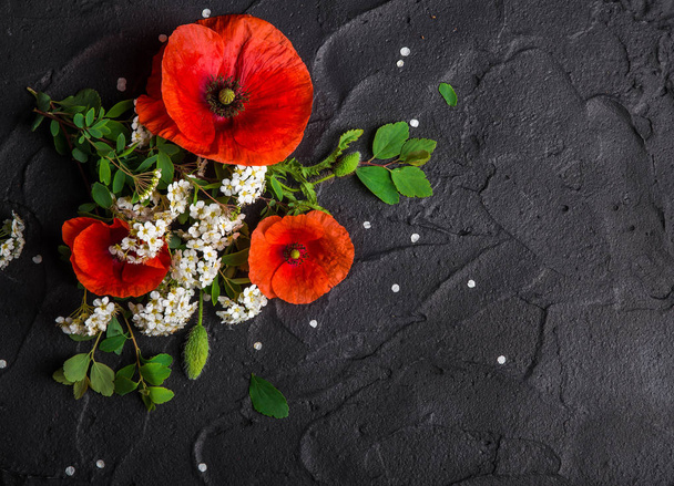 Virág kompozíció, piros Pipacsok és konkrét fekete háttéren fehér Gyöngyvessző - Fotó, kép