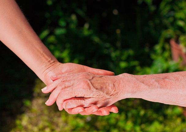 Dame tenant la main d'une femme âgée dans le jardin
. - Photo, image
