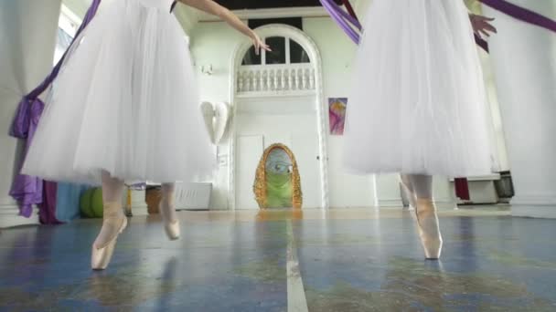 Dos atractivas bailarinas realizan de forma sincrónica ejercicios en un amplio y moderno estudio
 - Imágenes, Vídeo